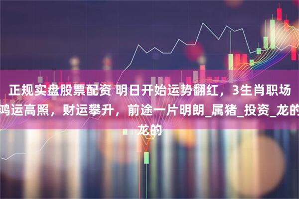 正规实盘股票配资 明日开始运势翻红，3生肖职场鸿运高照，财运攀升，前途一片明朗_属猪_投资_龙的