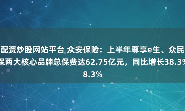 配资炒股网站平台 众安保险：上半年尊享e生、众民保两大核心品牌总保费达62.75亿元，同比增长38.3%