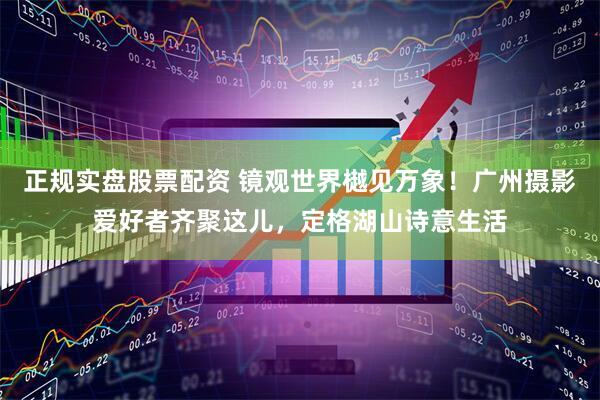 正规实盘股票配资 镜观世界樾见万象！广州摄影爱好者齐聚这儿，定格湖山诗意生活
