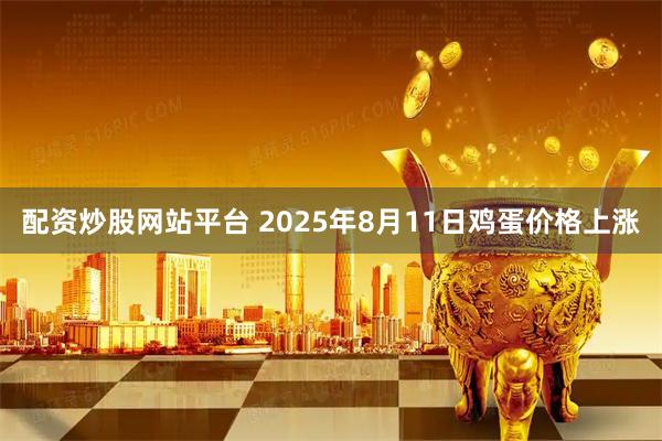 配资炒股网站平台 2025年8月11日鸡蛋价格上涨