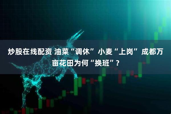 炒股在线配资 油菜“调休” 小麦“上岗” 成都万亩花田为何“换班”？